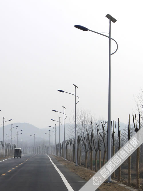 武汉市新洲区太阳能路灯
